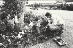 Cullerne Gardens 1980 photo Findhorn Foundation