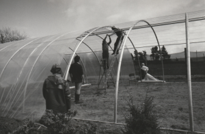 Cullerne Gardens building poly tunnel 1980 photo Findhorn Foundation
