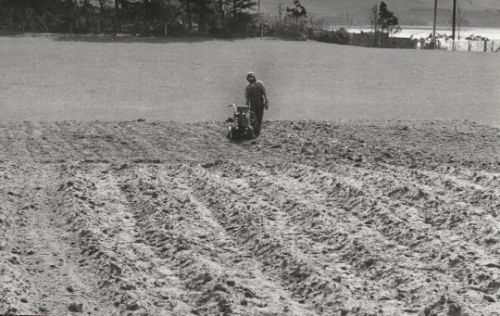 Cullerne Gardens rotovator 1980 photo Findhorn Foundation