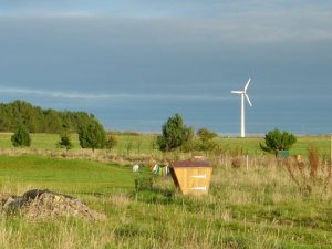 windmill & meter box photo John Talbott