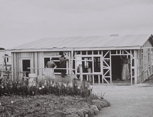 The Community Centre Beginnings