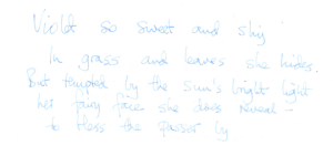 Violet so sweet and shy poem Richard Brockbank