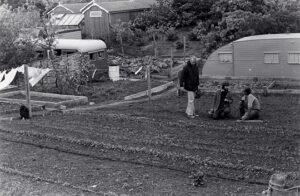 Original Garden Early Days photo Findhorn Foundation