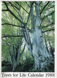 First Trees for Life Calendar photo Alan Watson Featherstone