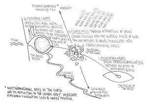 Marko Pogacnik FF workshop 2014