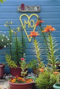 Mo's bungalow sign photo Mo Willett