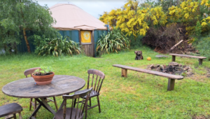 Our yurt - home for WOOFERs photo Graham Meltzer