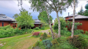 Whisky barrel houses photo Graham Meltzer