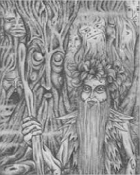 illustration by Roberto Terra Costa