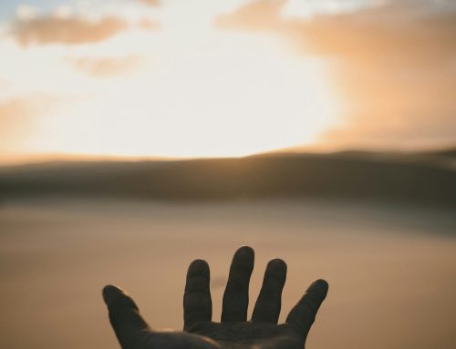 Saturday Snippets 77