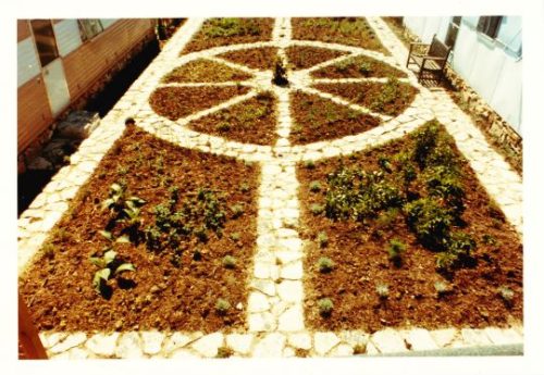 1971 Herb garden with bay tree outside the CC photo Findhorn Community bought by Marilyn Barry during her visit