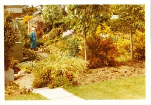 1971 gardens photo Findhorn Community bought by Marilyn Barry during a visit