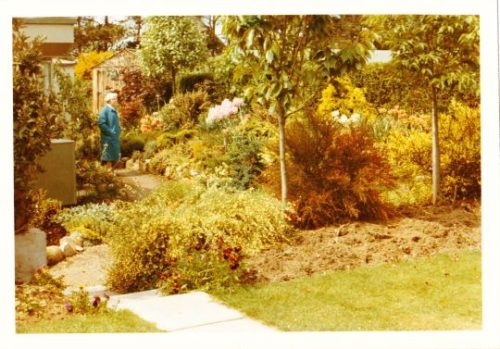 1971 gardens photo Findhorn Community bought by Marilyn Barry during a visit
