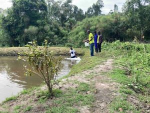 6 Fishpond