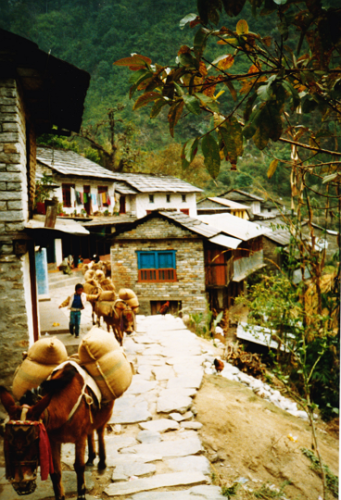 Biratanthi Nepal 1993 photo Alan Jacobsen