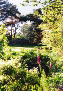 Garden photo Anniese Giuntini Worth
