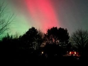 Northern Lights over trees, Field of Dreams, Findhorn photo Alan Watson Featherstone