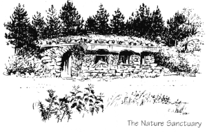 The Nature Sanctuary drawing by Harley Miller for Sights&Insights