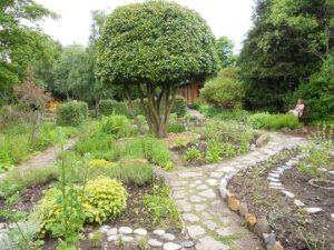 Herb Garden 2010 Visitor Guide p5