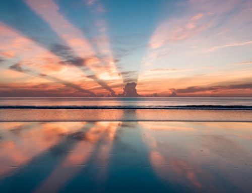 Midweek Muse #81