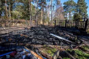 Burnt Park Sanctuary planter photo Mark Richards