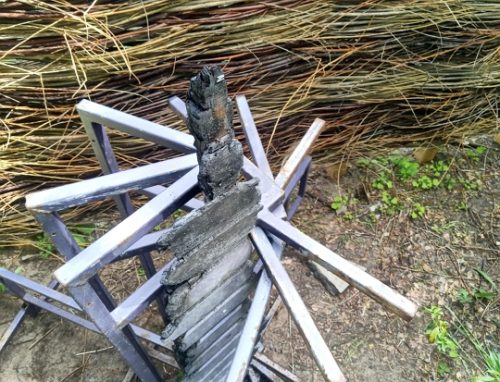 Memento in purple sunburst photo Cornelia Featherstone