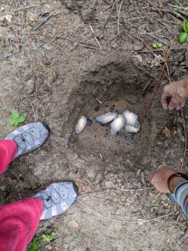 Placing burnt guidance in the ground photo Cornelia Featherstone