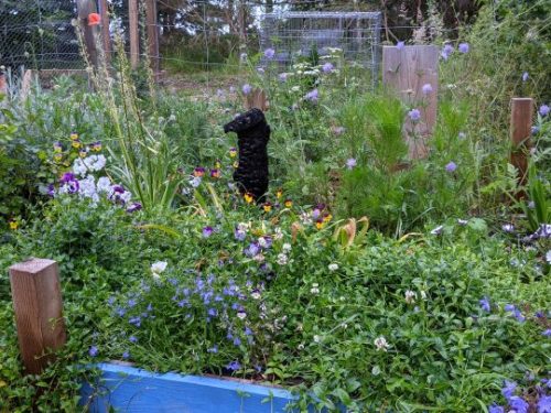 planting charred sanctuary wood photo Cornelia Featherstone