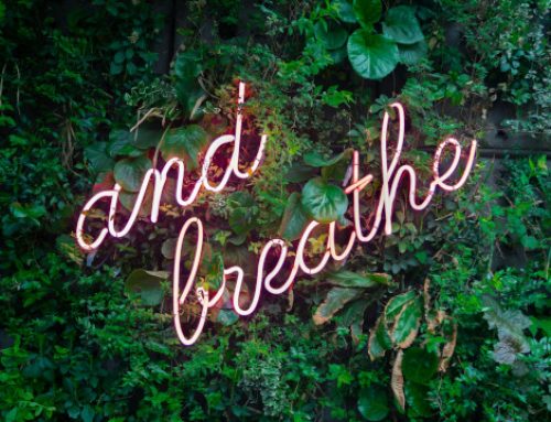 Midweek Muse #102