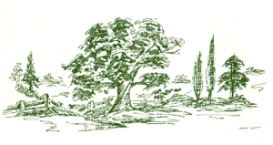 Trees 2 illustration by Lucy Gonin