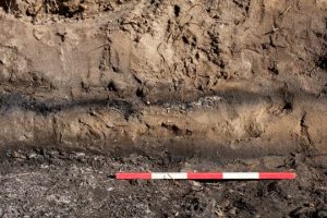 Illus 10 photo Michael Sharpe