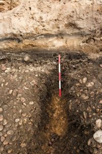 Illus 11 photo Michael Sharpe