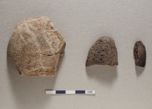 Illus 12 photo Michael Sharpe