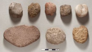 Illus 13 photo Michael Sharpe