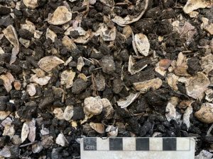 Illus 15 photo Michael Sharpe