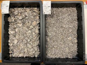 Illus 16 photo Michael Sharpe