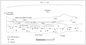 Illus 5: Post-excavation section of midden