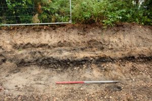 Illus 7 photo Michael Sharpe