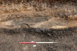 Illus 8 photo Michael Sharpe