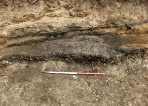 Illus 9 photo Michael Sharpe