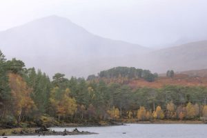 Scots pines (Pinus sylvestris) & downy birches (Betula pubescens) in autumn colours at the west end of Loch Beinn a'Mheadhoin Glen Affric photo Alan Watson Featherstone