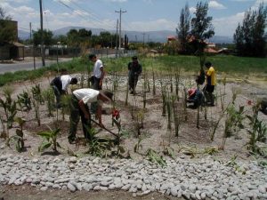 Building Wastewater Recycling CENFOTEC photo Marion Remus