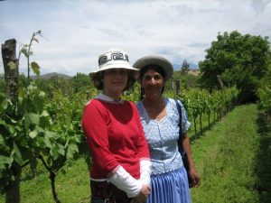 Tarija visiting organic wine fields photo Marion Remus