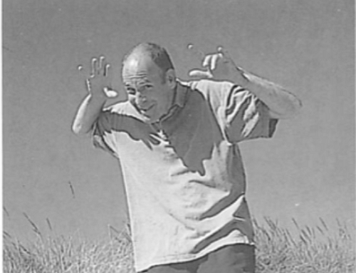 Experiencing the Angels (2000)