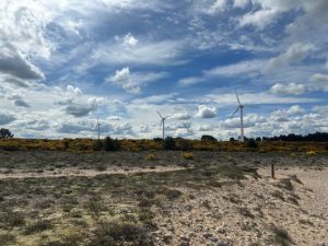 Wind turbines photo Kelsey Grubbs