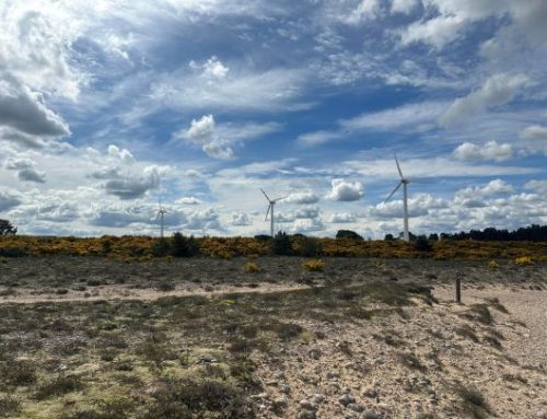 Affective Infrastructure: Capitalism’s Specters in the Ecovillage Findhorn Community