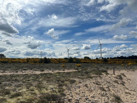 Wind turbines photo Kelsey Grubbs