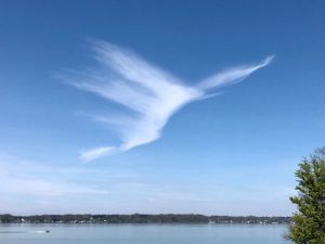 Angel Cloud from Internet Archive free download