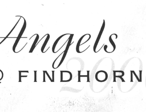 Odyssey magazine – Angels@Findhorn2000