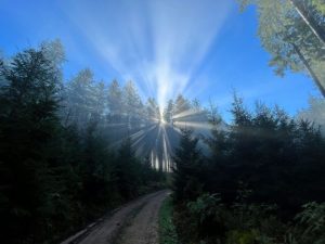 martin-joos-rp0rWHTGgic-unsplash